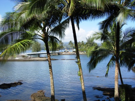 Coconut island Hilo